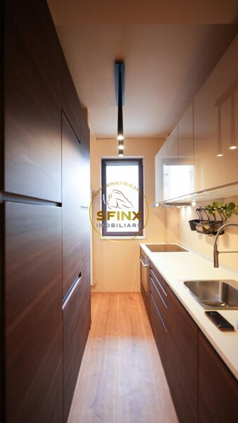 Herastrau, investitie