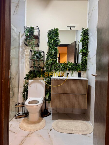 Herastrau, investitie