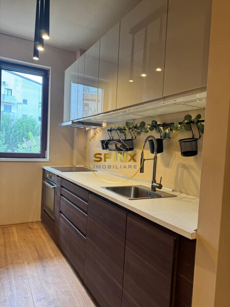 Herastrau, investitie