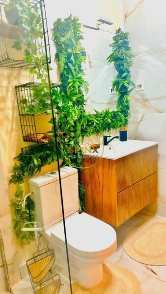 Herastrau, investitie