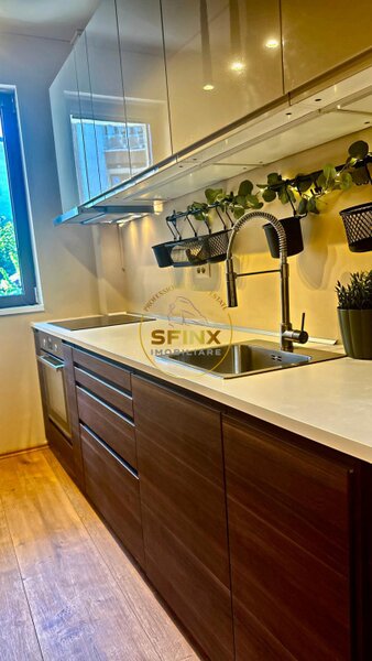 Herastrau, investitie